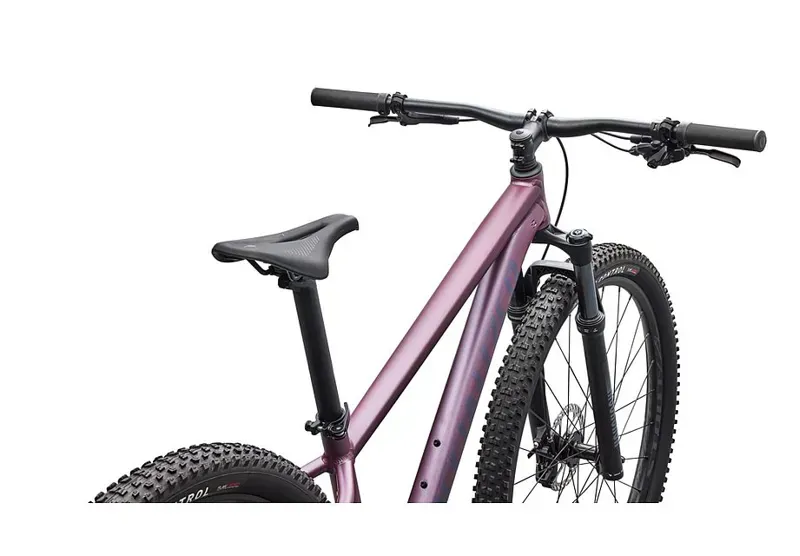 Rockhopper Expert Quartz / Mauve-3