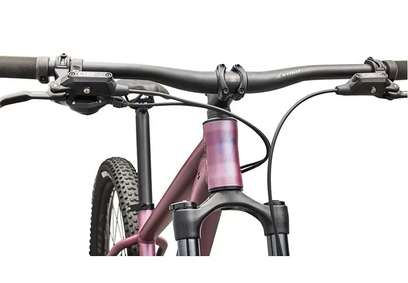 Rockhopper Expert Quartz / Mauve-4