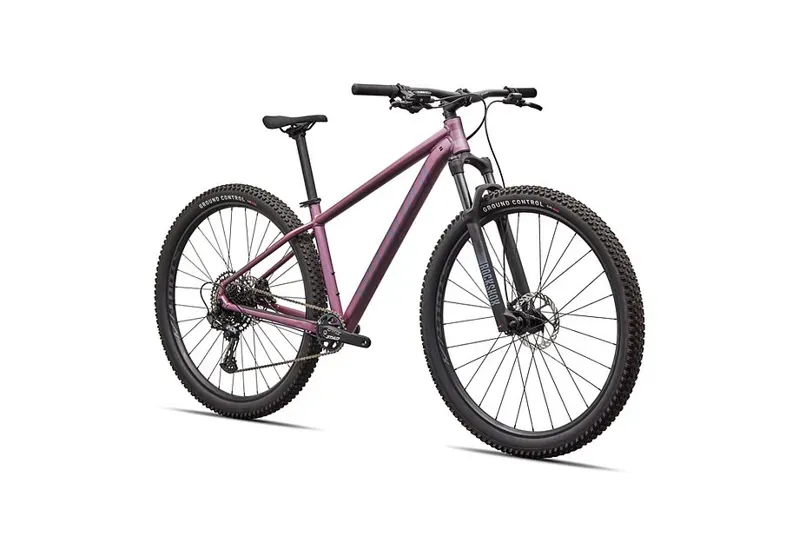 Rockhopper Expert Quartz / Mauve-1