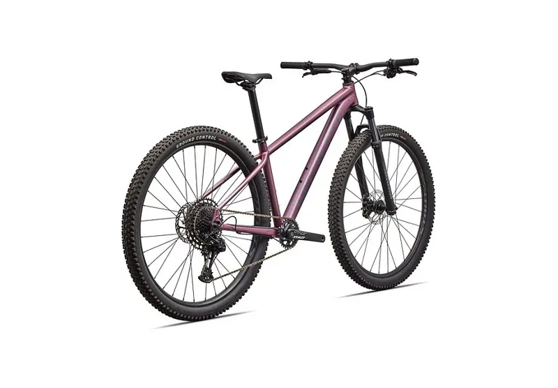 Rockhopper Expert Quartz / Mauve-2