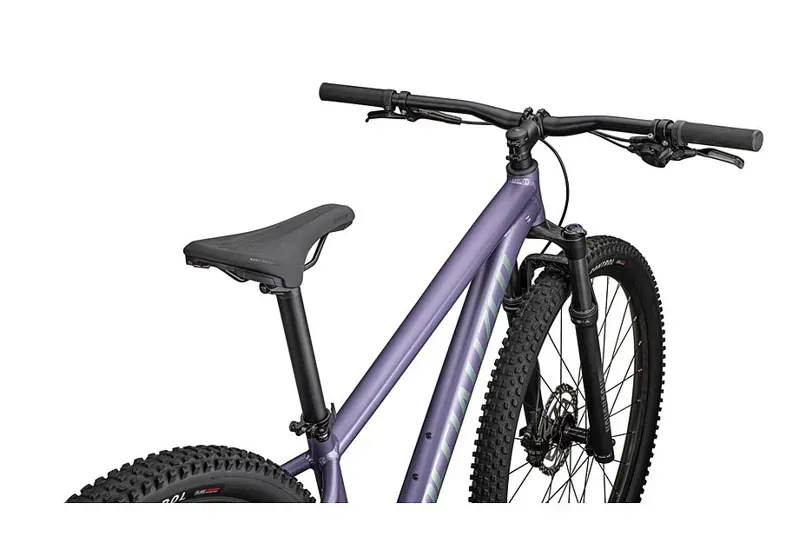 Rockhopper Comp Mauve / Fjord-3