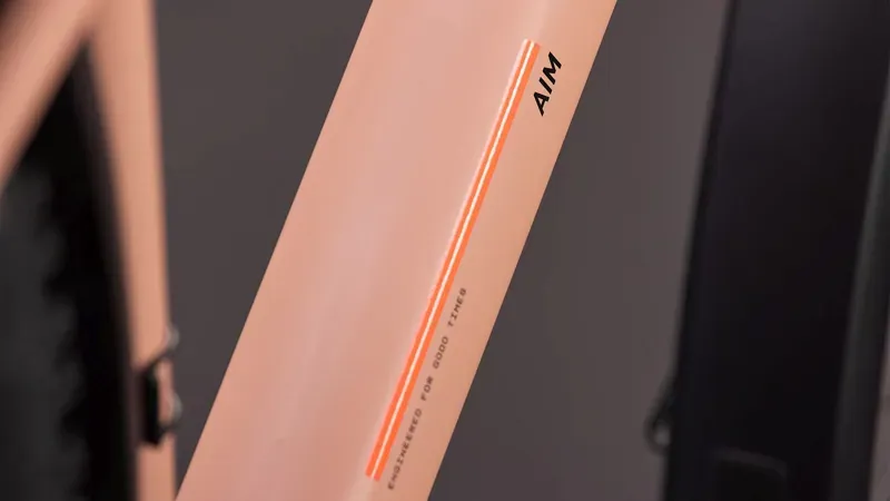 Cube Aim SLX FE Mountain Bike in Blush Rose/Black-3