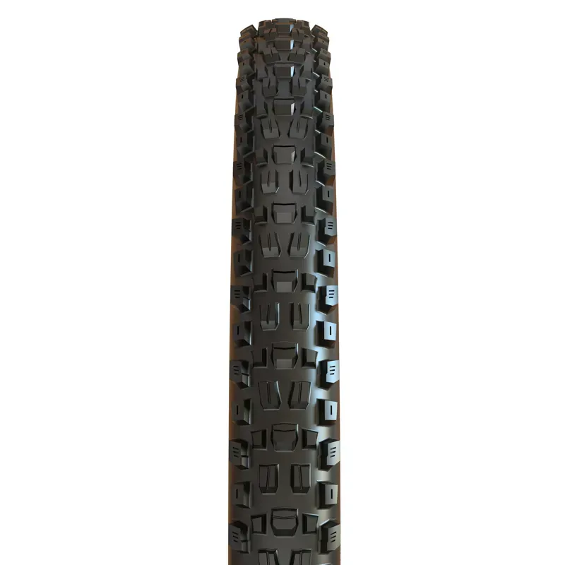 NI - Assegai Tire 29x2.6 MT/EXO+/ TR Black 29-2