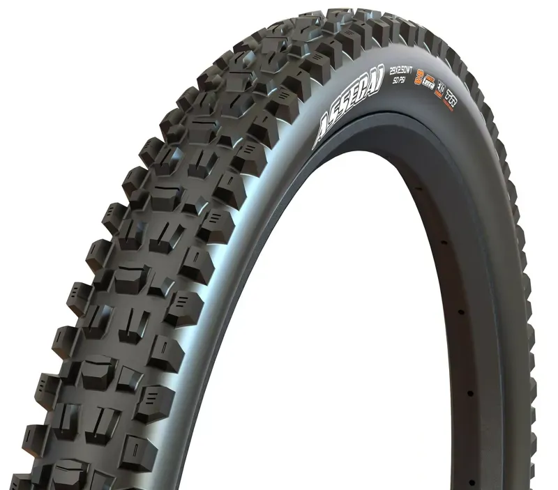 NI - Assegai Tire 29x2.6 MT/EXO+/ TR Black 29-1