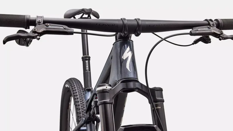 Specialized Epic 9 Pro CARBON/ CHAOS GLITTER / CHROME-4