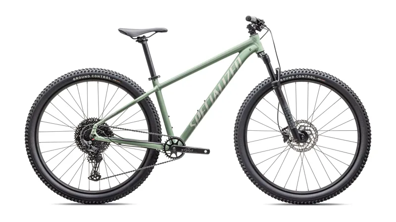 Specialized Rockhopper Comp Mountain Bike in Pistachio