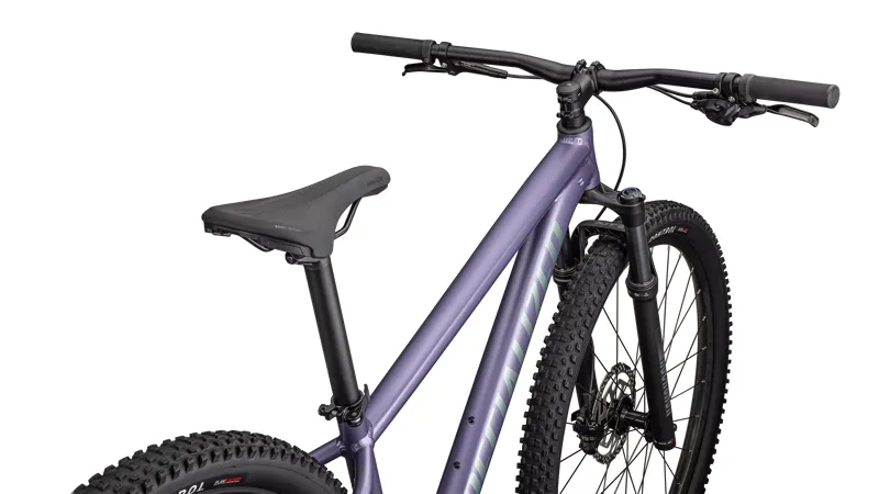 Specialized Rockhopper Comp Mountain Bike in Mauve Metallic-1