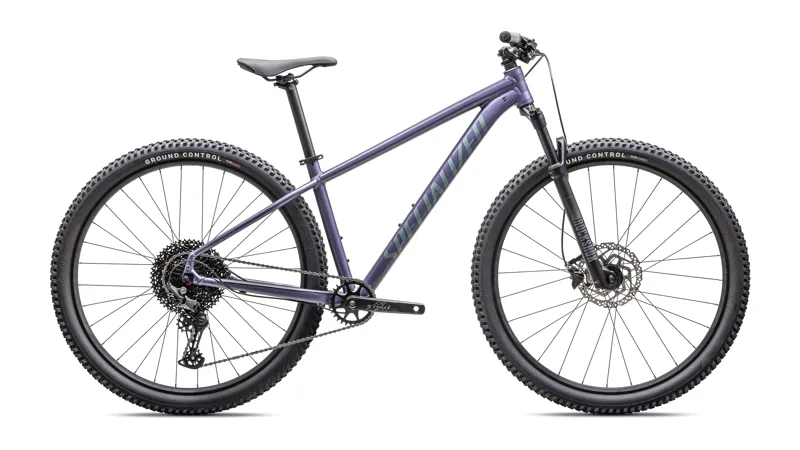 Specialized Rockhopper Comp Mountain Bike in Mauve Metallic