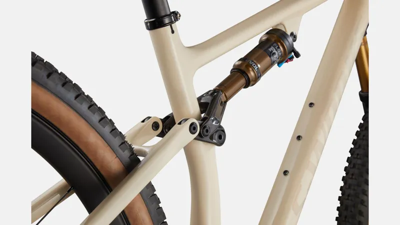 Specialized S-Works Epic EVO Mountain Bike -1