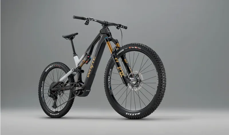 ELyte Evo Stag Works Steah black and silver-10