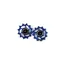 Hope 12 Tooth Jockey Wheels - Pair - Blue
