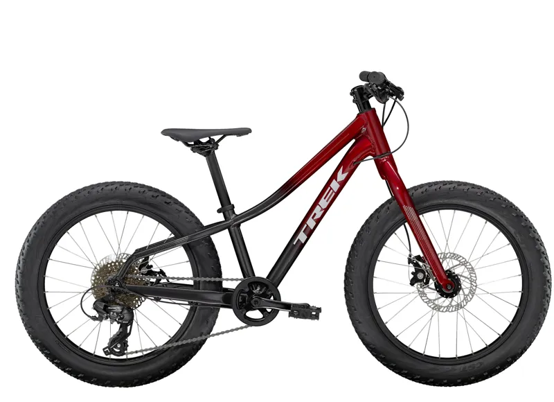 Trek Roscoe 20 Kids Mountain Bike 