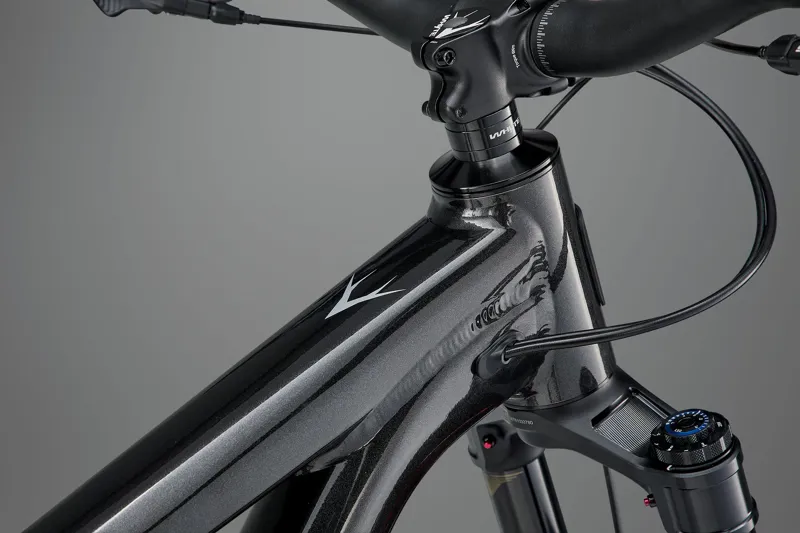 Whyte Sythe RS Enduro and Gravity Mountain Bike-5