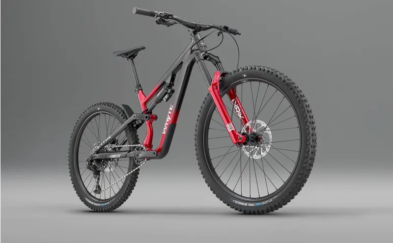 Whyte Sythe RS Enduro and Gravity Mountain Bike-12