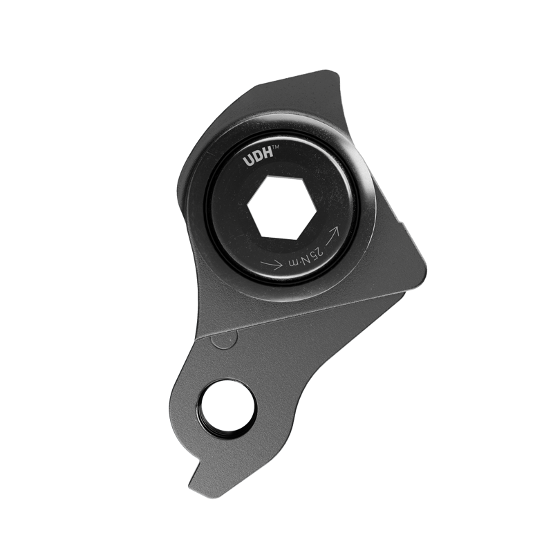 SRAM Universal Derailleur Hanger: BLACK-1